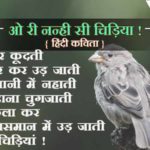sparrow in hindi