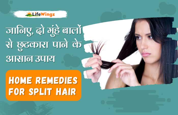 split hair ends - balo ka ilaj in hindi - hair problem in hindi