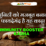 Immunity Booster Kadha