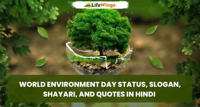 World Environment Day Status