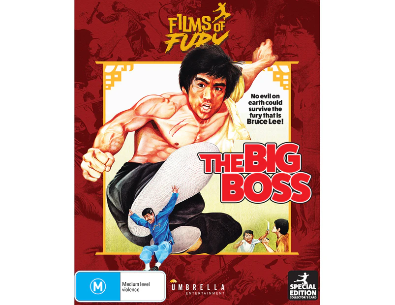 the big boss movie